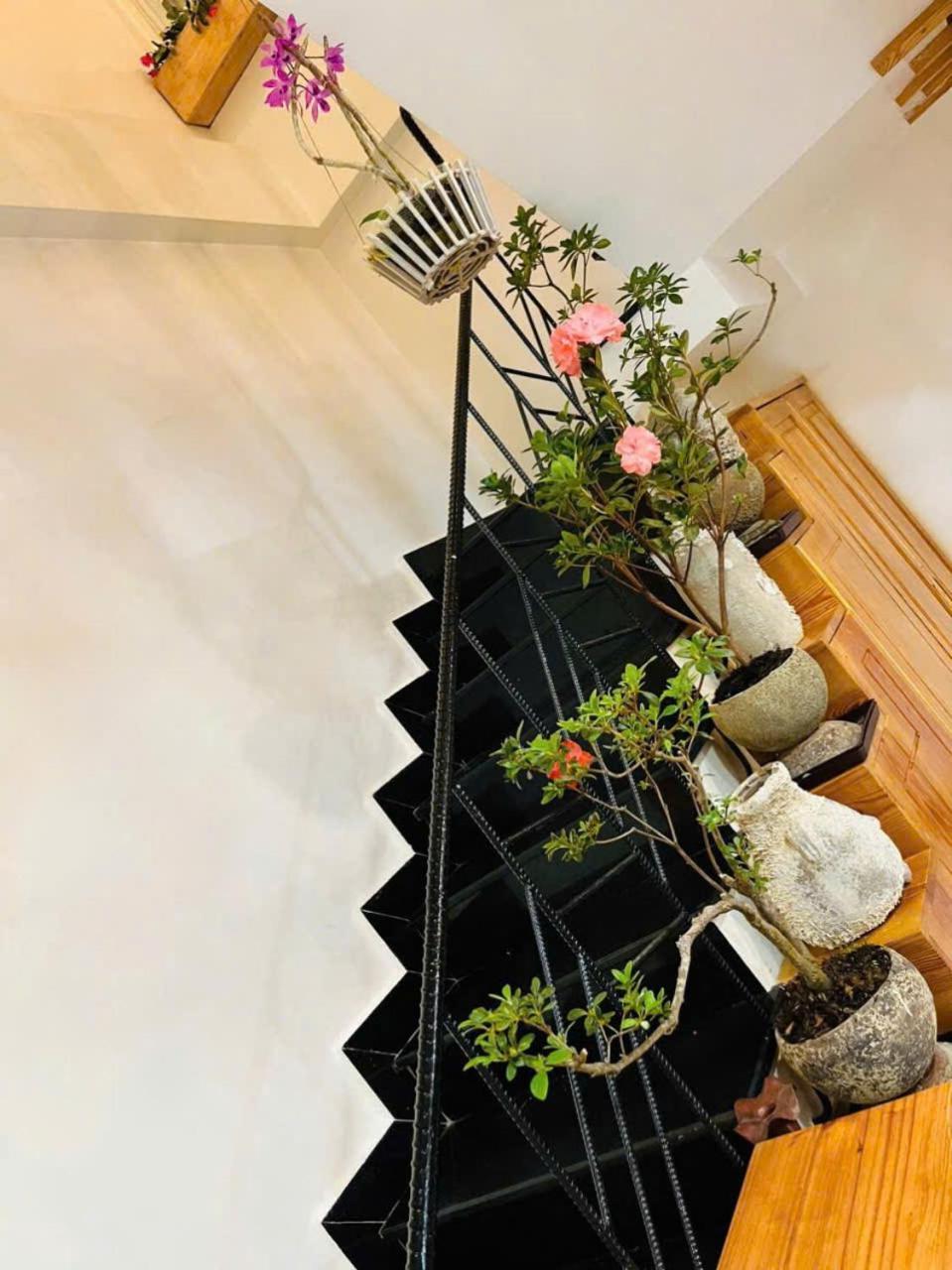 Villa Nho Xinh Khu Chi Lăng エクステリア 写真