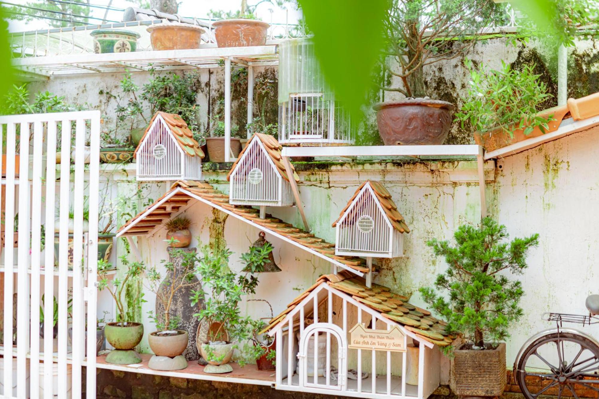 Villa Nho Xinh Khu Chi Lăng エクステリア 写真